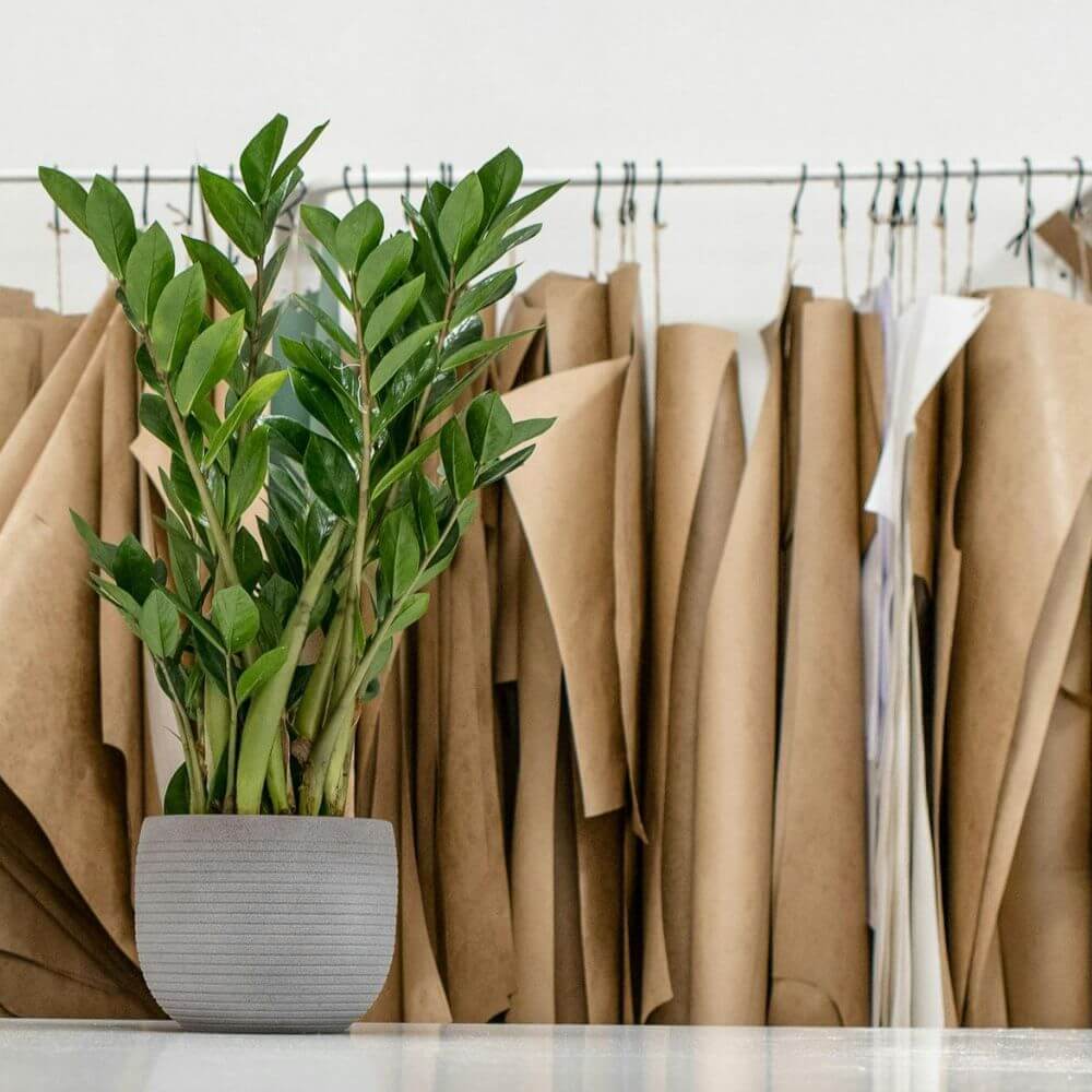 Eco-Leather – Everything You Need to Know About This Modern Material