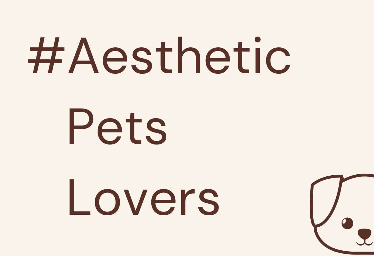 Purré